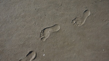 footprint-2143685_960_720.jpg